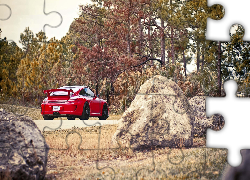 Czerwone, Porsche, 911, Drzewa, Kamienie