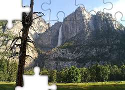 Stany Zjednoczone, Stan Kalifornia, Park Narodowy Yosemite, Drzewa, Łąka, Góry