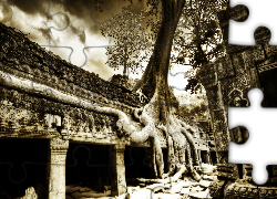 Ruiny, Świątynia, Drzewo, Korzenie