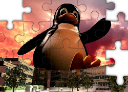 Pingwin, Budynek, Linux