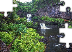 Hawaje, Maui, Baseny, Drzewa, Palmy