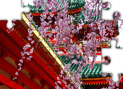 Kwiaty, Wiśni, Świątynia, Japonia