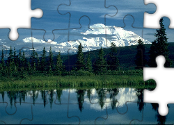 Jezioro, Drzewa, Góra, McKinley, Alaska
