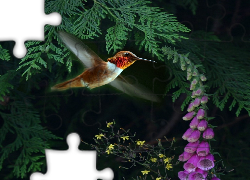 Koliber, Lot, Kwiatek, Drzewko