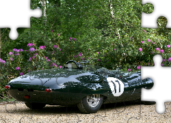 Samochód, Wyścigowy, Jaguar, Costin, Roadster