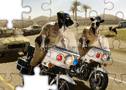 Droga, Samochody, Krowy, Policja, Motory