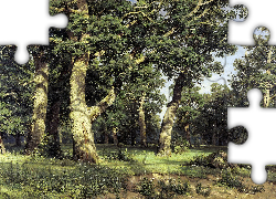 Drzewa, Las, Obraz