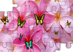 Kwiaty, Płatki, Motyle