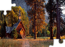 Stany Zjednoczone, Stan Kalifornia, Park Narodowy Yosemite, Kościółek Yosemite Valley Chapel, Drzewa