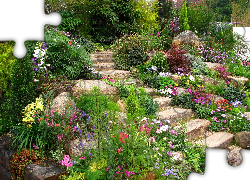 Ogród, Kwiaty, Schody, Kamienie