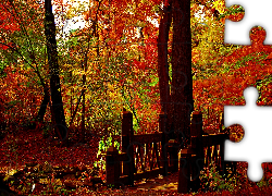 Park, Drzewa, Mostek, Jesień