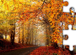 Jesień, Droga, Drzewa, Liście