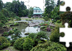 Ogród, Japoński Domek, Zieleń