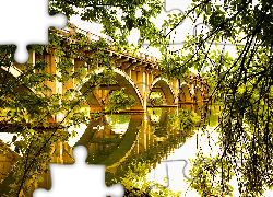Most, Rzeka, Gałęzie, Drzewa