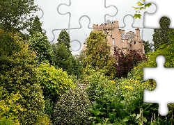 Zamek, Crathes, Szkocja, Ogród