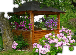 Ogród, Altanka, Kwiaty, Surfinia, Hortensja