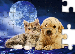 Pies, Szczeniak, Golden retriever, Kot, Niebo, Gwiazdy