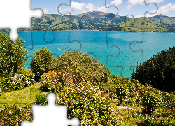 Jezioro, Góry, Roślinność, Nowa Zelandia