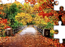 Mostek, Las, Kolorowe, Drzewa, Jesień