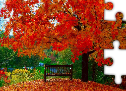Drzewo, Kolorowe, Liście, Ławka, Jesień