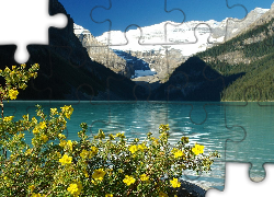 Kanada, Jezioro Louise, Góry, Kwiaty