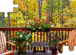 Jesień, Las, Balkon, Kwiaty