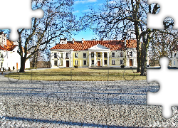 Pałac Skarżyńskich, Wyszków