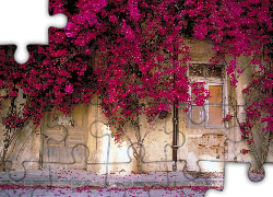 Ściana, Domu, Pokryta, Kwiatami