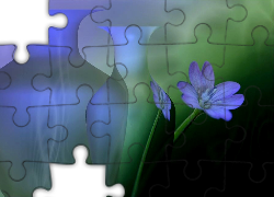 Niebieski, Kwiatek, Wazony