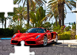 Czerwone, Ferrari Enzo, Palmy