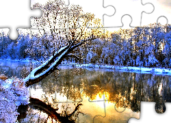 Drzewa, Jezioro, Śnieg
