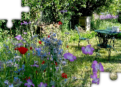 Ogród, Kwiaty, Stolik, Krzesła