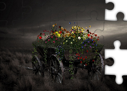 Wóz, Kwiaty, Motyle