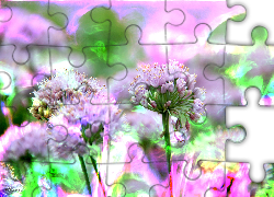 Fioletowe, Kwiaty, Fractalis