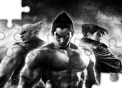 Tekken 6, Kazuya, Heihanchi, Mishima, Jin Kazama