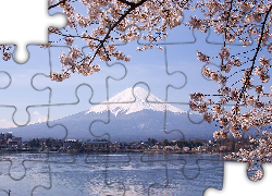 Jezioro, Kwitnące, Gałązki, Góra, Fuji, Japonia