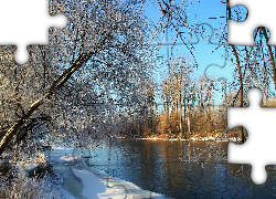 Rzeka, Drzewa, Zima