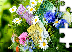 Bukiet, Kwiatów, Pieniądze