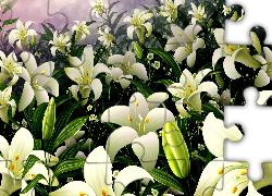 Wielkanocne, Kwiaty, Biała, Lilia