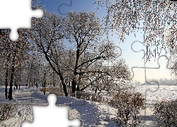 Zima, Droga, Drzewa, Śnieg