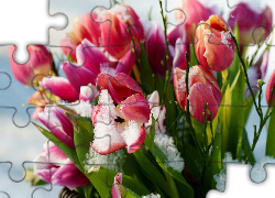 Tulipany, Śnieg, Listki