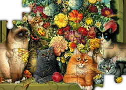 Koty, Bukiet, Kwiatów