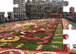 Wystawa kwiatów, Bruksela, 2008 rok