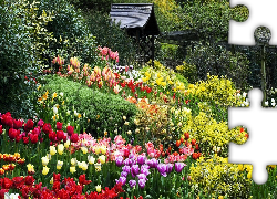 Ogród, Tulipany, Altanka