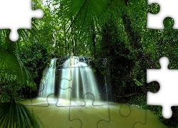 Wodospad, Tropikalny, Las