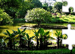 Ogród, Botaniczny, Sri Lanka