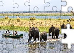 Słonie, Rzeka, Łodzie, Zimbabwe