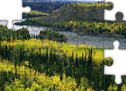 Rzeka, Lasy, Yukon, Kanada