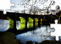 Rzeka, Most, Zieleń