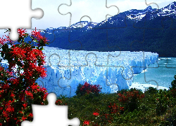 Lodowiec, Perito Moreno, Góry, Drzewa, Park Narodowy Los Glaciares, Argentyna